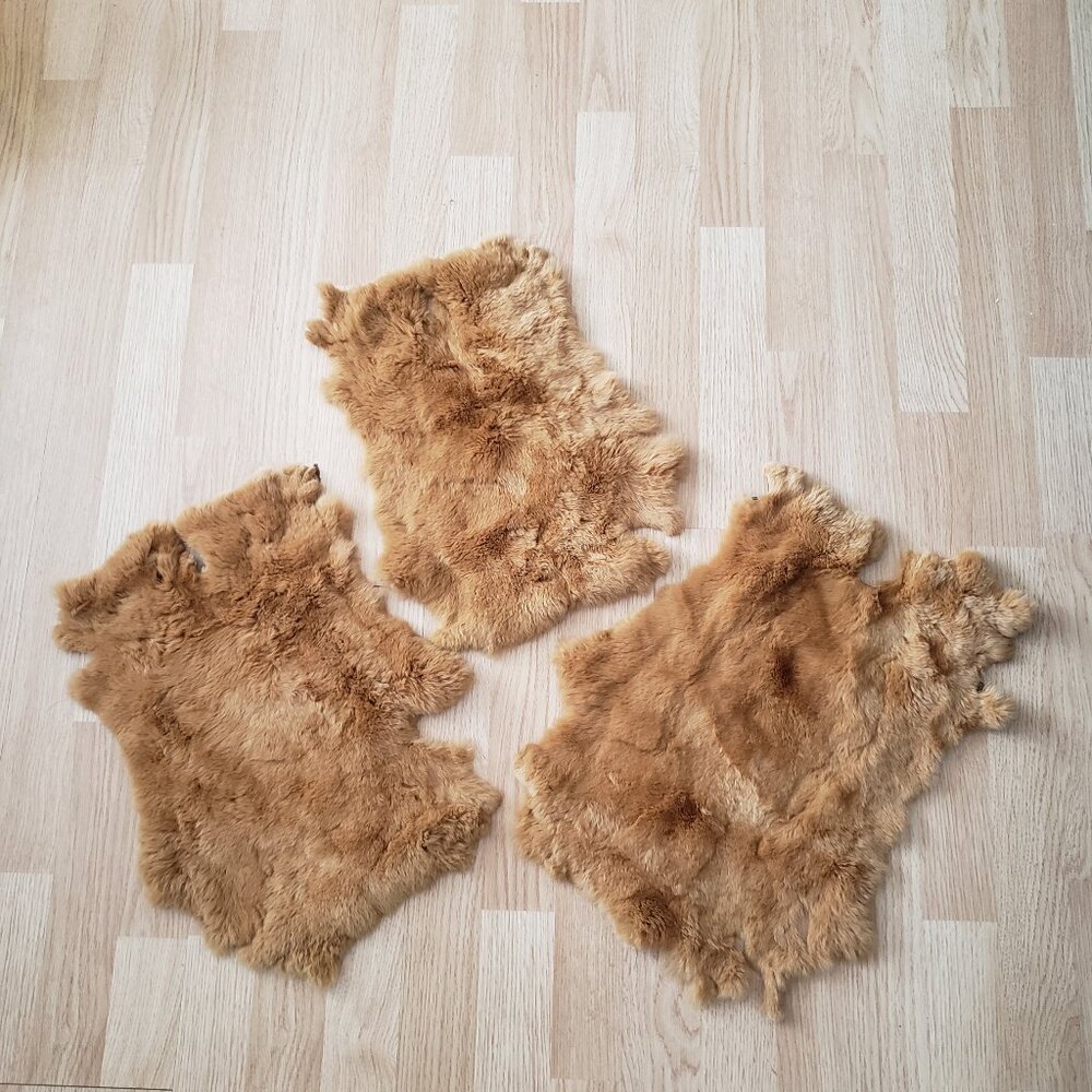 3 pieces rabbit pelt for diy or display